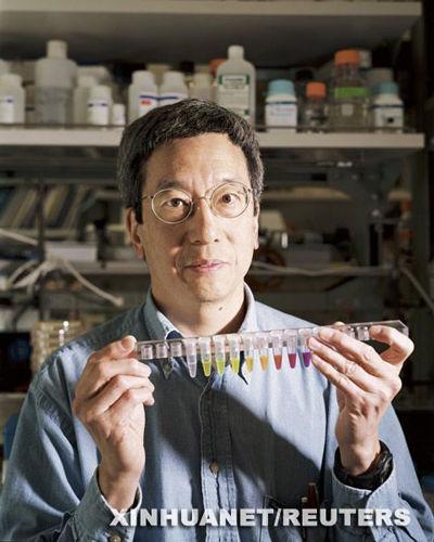 �@�������A��ƌW���X�������Y����Ƭ��