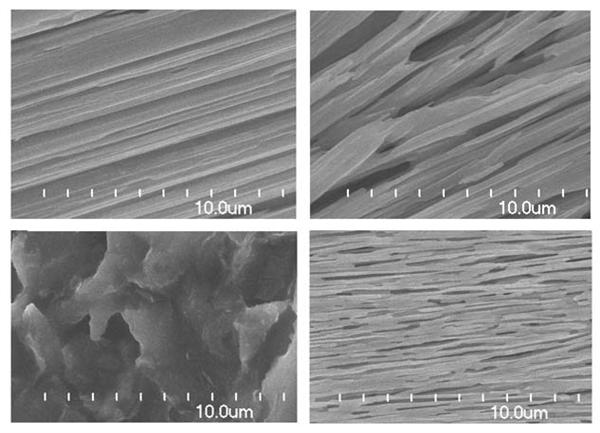 溶劑對P4VP-b-PS/CdS形貌(SEM)的影