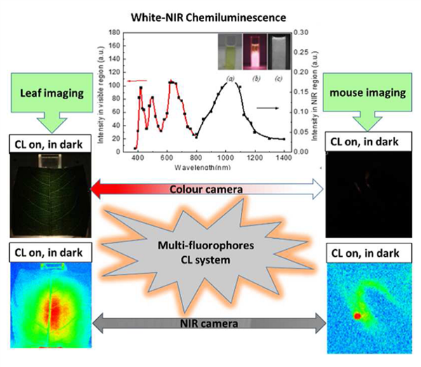 課題組“寬譜化學發光體系及在成像