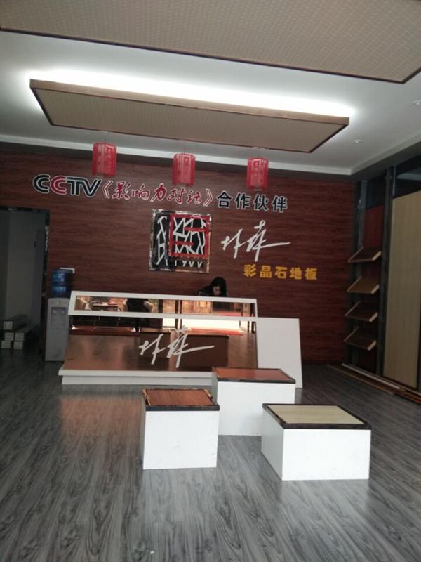 彩晶石地板項目-技術入股、股權轉