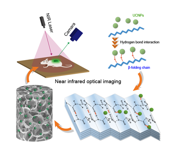 上轉換熒光蠶絲材料-點亮軟物質體