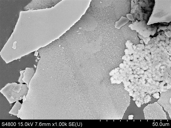 這“片”上的“花束”Very Beautif