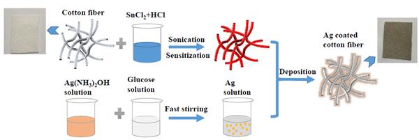 Applied Surface Science: 棉無紡