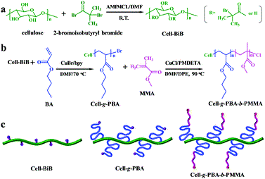 課題組張娟博士在Chem. Commun.發(fā)