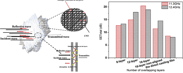 碩士生陳麗在Carbon (IF=7.466 )上