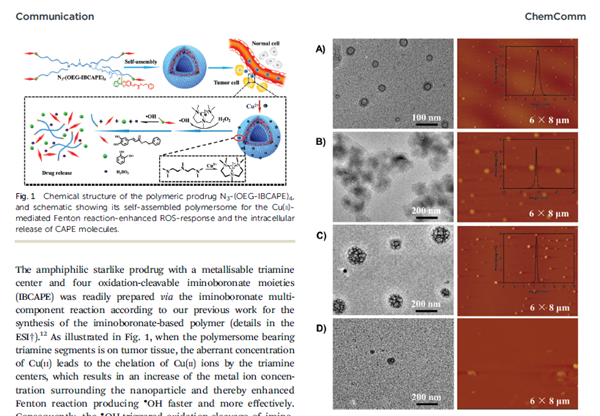 祝賀2016級博士生程瑞棟的文章被Ch