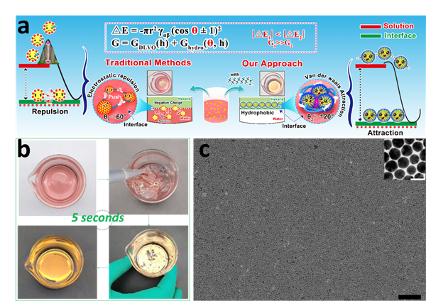 宋麗平文章被Science Advances接受