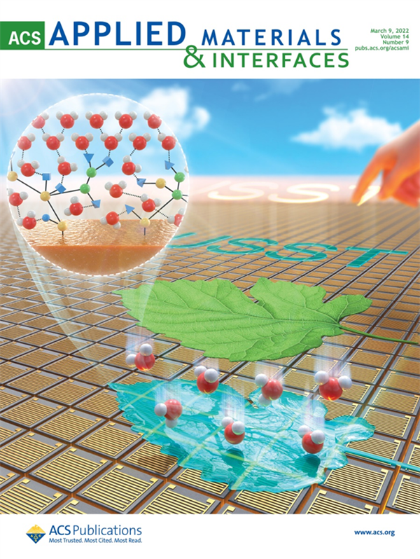 祝賀王楠同學發表ACS AMI封面論文