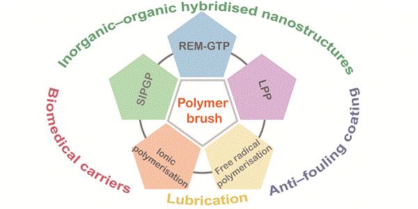 課題組在Chem. Commun. 發表 Featu