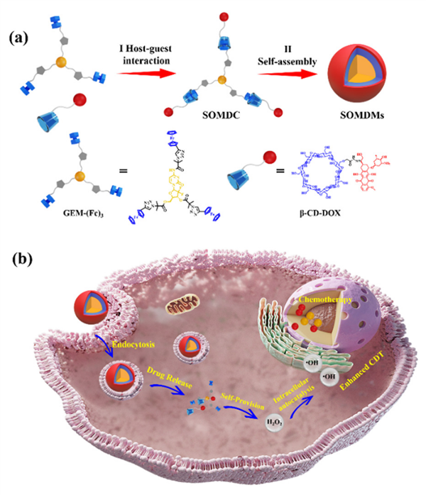 課題組與四醫大范黎教授，西工大田