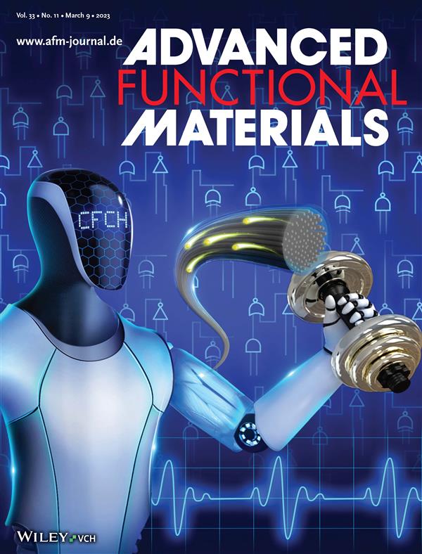 李勝男的文章作為Adv Funct Mater