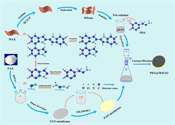 許林哲論文發(fā)表在separation and p