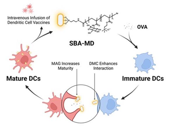 祝賀張恒源在Angewandte發表無金屬