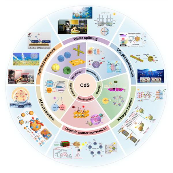 課題組段汶博士綜述性論文發表在自