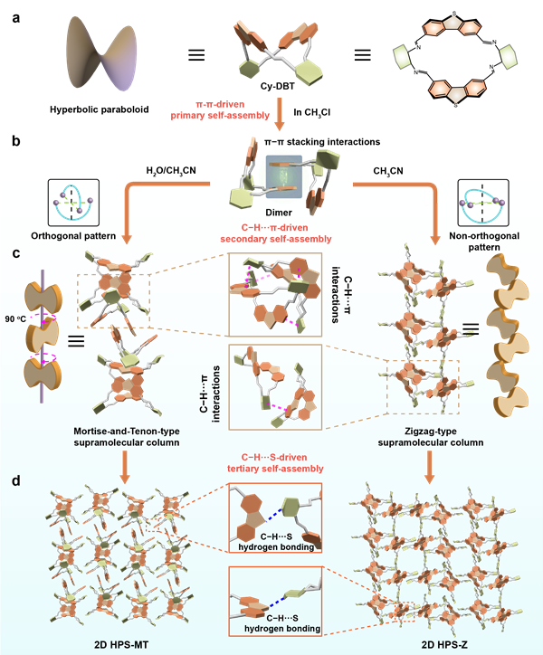 課題組有關(guān)雙曲拋物面分子基二維超