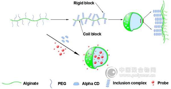 哈偉同學(xué)文章Encapsulation Studie